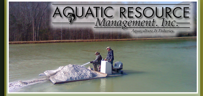 Fathead Minnows - Aquaculture, Fisheries, & Pond Management
